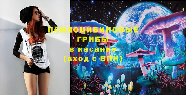 соль ск Снежинск