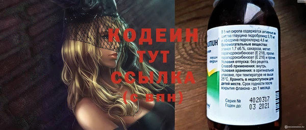 дживик Арсеньев